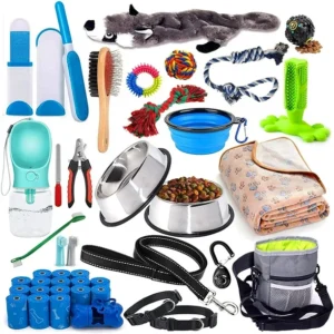 Animaux & Accessoires